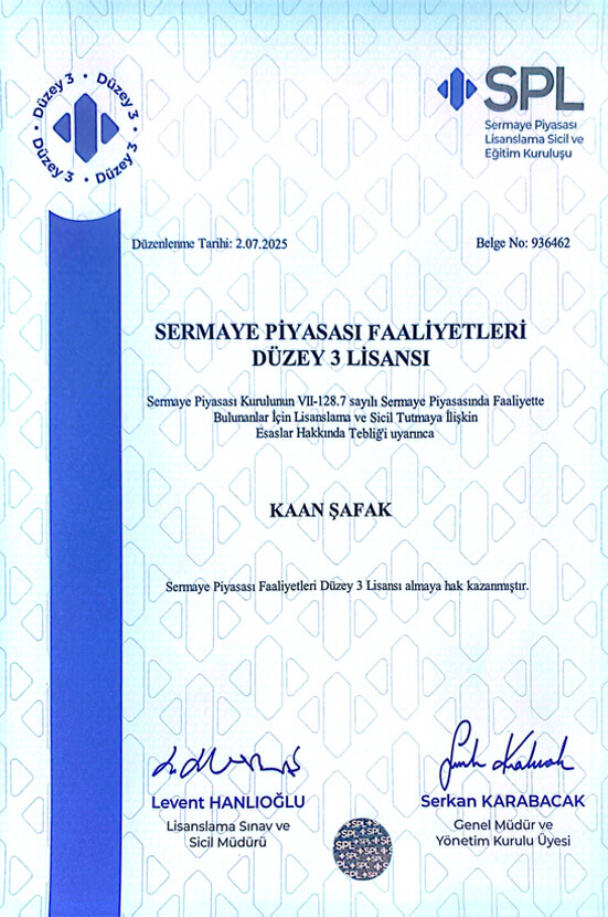 Düzey 3 Lisansı
